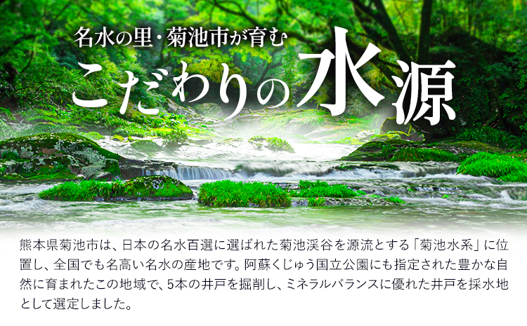 【5ヶ月定期便】浸みわたる水素水 30本 内容量 1本500ml 計75L《お申込み翌月から出荷》水 水素水 天然水 飲料水 ミネラルウォーター アルミパウチ パウチ 国産 九州産 熊本県産 菊池市産