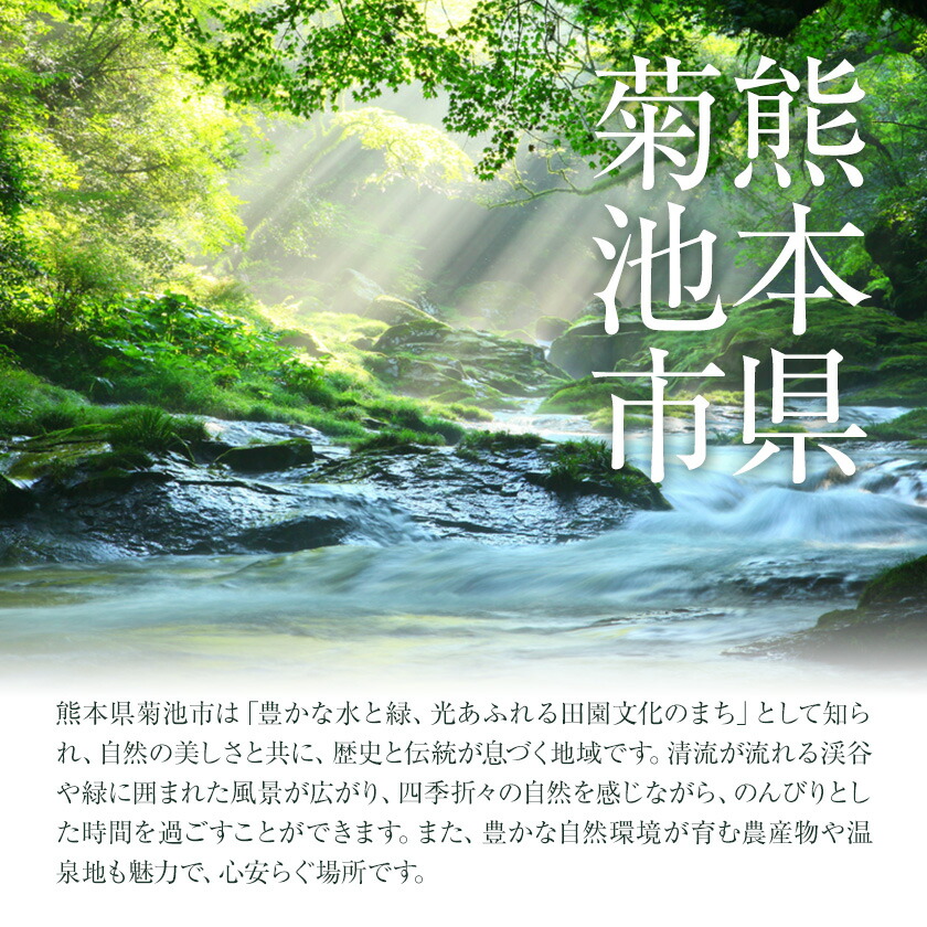 卵 にんにくたまご 内容量 30個 株式会社つづき《90日以内に出荷予定(土日祝除く)》熊本県 菊池市 卵 たまご にんにく卵 鶏卵 熊本県産 九州産 冷蔵 送料無料