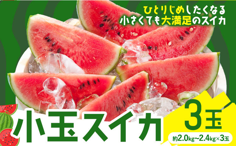 小玉スイカ 3玉【養生市場】 ひとりじめ 果物 フルーツ スイカ 西瓜 九州産 熊本県産 送料無料《2026年4月中旬-5月中旬頃出荷予定》【先行予約】