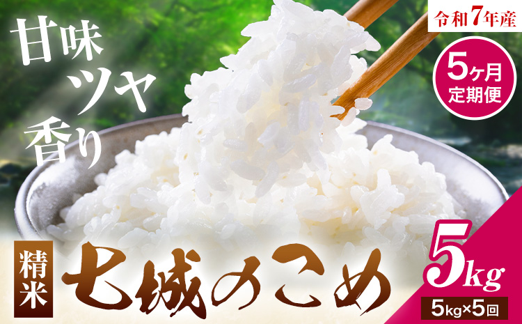 【5ヶ月定期便】令和7年産 七城のこめ 精米 5kg/月×5回 計25kg ヒノヒカリ ひのひかり 有限会社七城町特産品センター 《お申し込み月の翌月から出荷開始》 熊本県 菊池市 定期便 お米 米 白米 九州産 熊本県産
