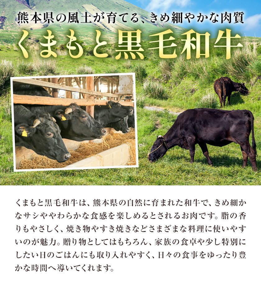 焼肉用 モモ・ウデ 合計800g 黒毛和牛 カット済み 有限会社中田精肉店舗 《45日以内に出荷予定(土日祝除く)》 熊本県 菊池市 お肉 和牛 焼き肉 キャンプ バーベキュー 熊本県産 九州産 国産