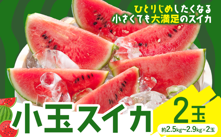 小玉スイカ 2玉【養生市場】 ひとりじめ 果物 フルーツ スイカ 西瓜 九州産 熊本県産 送料無料《2026年4月中旬-5月中旬頃出荷予定》【先行予約】
