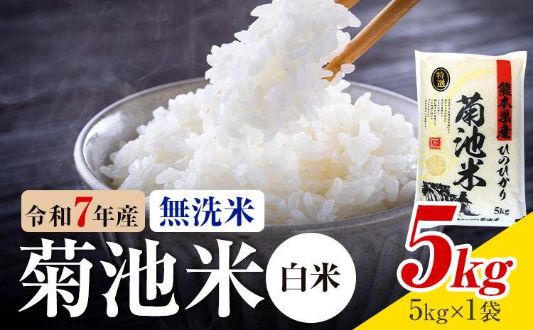 令和7年産 熊本県産 菊池米 白米 無洗米 5kg 1袋5kg 株式会社くまもとごはん 《30日以内に出荷予定(土日祝除く)》米 お米 令和7年産 九州産 熊本県産  送料無料