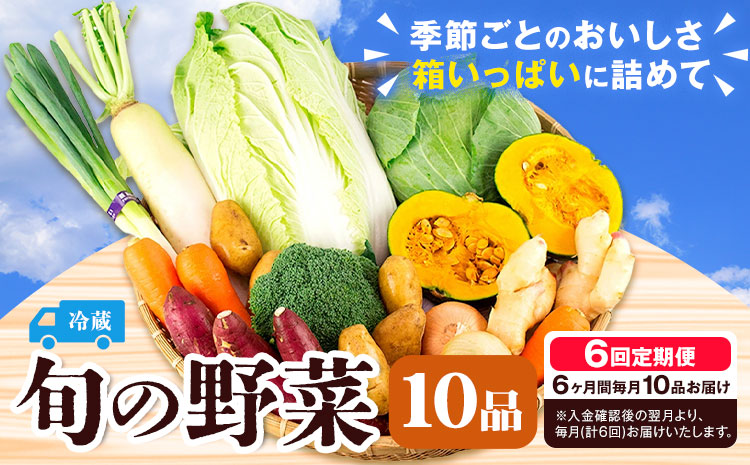 旬の野菜 定期便 計6回 旬の野菜 10品【養生市場】定期便 品種おまかせ ランダム 6ヶ月お届け 計6回 詰め合わせ セット 野菜 九州産 熊本県産《お申し込みの翌月から出荷》
