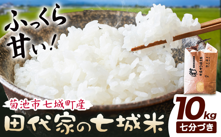 令和7年産 菊池市七城町産 田代家の七城米 七城ヒノヒカリ 七分づき 10kg 田代こめや《30日以内に出荷予定(土日祝除く)》熊本県 菊池市 米 お米 精米 ひのひかり 菊池市産 熊本県産 九州産 送料無料