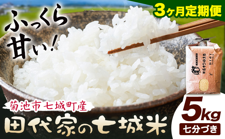 【3ヶ月定期便】令和7年産 菊池市七城町産 田代家の七城米 七城ヒノヒカリ 七分づき 5kg 田代こめや《お申込み翌月から出荷》熊本県 菊池市 米 お米 精米 ひのひかり 菊池市産 熊本県産 九州産 送料無料