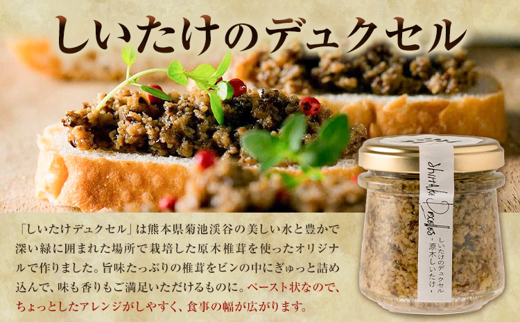 原木椎茸堪能セット 肉厚原木生椎茸 500g しいたけのデュクセル 2本 オリーブオイルマリネ 1本 合同会社 原田山業《90日以内に出荷予定(土日祝除く)》熊本県 菊池市 椎茸 しいたけ きのこ 肉厚 デュクセル オリーブオイル マリネ 瓶詰め セット 詰め合わせ