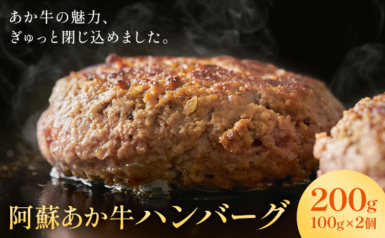 阿蘇あか牛ハンバーグ 200g 100g × 2個 株式会社LARKS《30日以内に出荷予定(土日祝除く)》ハンバーグ あか牛 牛肉 熊本県 冷凍 送料無料