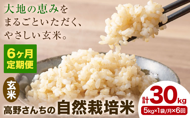 【6ヶ月定期便】令和7年産 高野さんちの自然栽培米 玄米 計30kg(5kg×1袋/月×6回) 《通常パッケージ》株式会社有機農場《お申し込み月の翌月から出荷開始》熊本県 菊池市 米 お米 ヒノヒカリ ひのひかり 自然栽培米 七城物語 熊本県産
