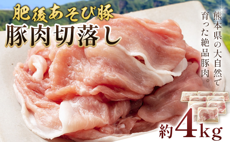 肥後あそび豚切落し 4kg 株式会社さつま屋産業 ぶた ブタ 豚肉 肉 ブランド豚 切り落とし 国産 九州産 熊本県産 菊池市産 冷凍 送料無料《90日以内に出荷予定(土日祝除く)》
