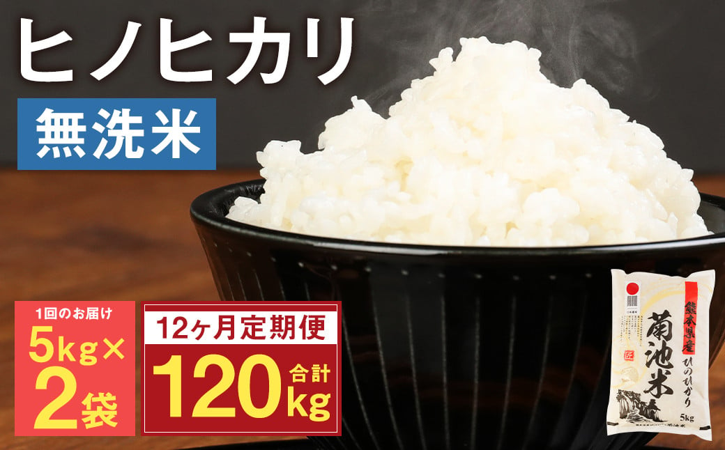 【定期便12ヶ月】熊本県菊池産 ヒノヒカリ 無洗米 計120kg（5kg×2袋×12回）精米 お米 米 白米