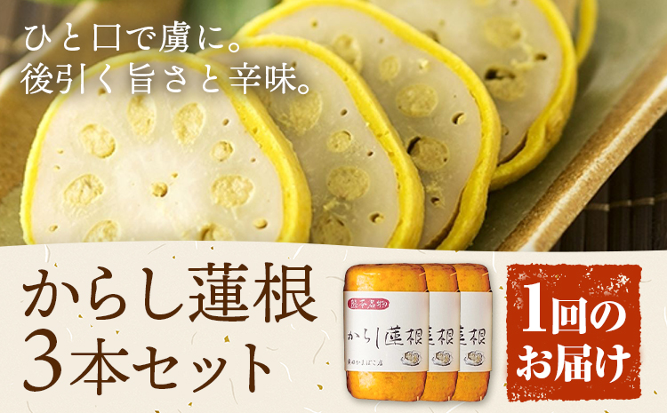 からし蓮根 セット 約280g×3本 辛子蓮根 カラシ 廣田蒲鉾店《30日以内に出荷予定(土日祝除く)》揚げたて レンコン 郷土料理 熊本県 菊池市 おつまみ 惣菜 冷蔵 送料無料