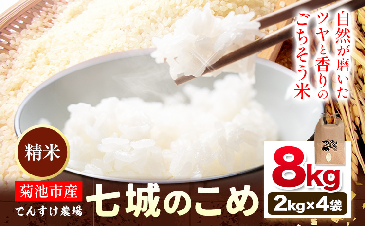 令和7年産 精米 七城のこめ 8kg《30日以内に出荷予定(土日祝除く)》熊本県 菊池市 米 白米 ヒノヒカリ でんすけ農場