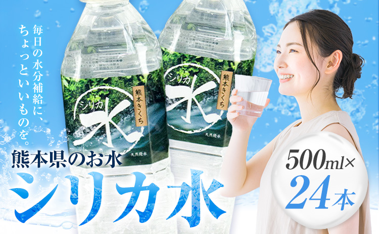 水 シリカ水 500ml × 24本 有限会社七城町特産品センター メロンドーム 《30日以内に出荷予定(土日祝除く)》 熊本県 菊池市 水 軟水 飲料 ドリンク 清涼飲料水 天然地下水 ペットボトル ミネラルウォーター 定期便 送料無料