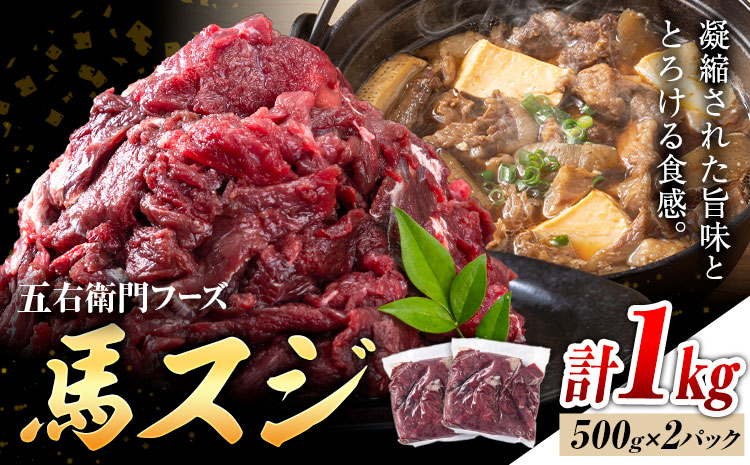 【ふるさと納税】馬スジ 合計1kg 500g×2パック 五右衛門フーズ《90日以内に出荷予定(土日祝除く)》 小分け すじ 馬すじ 馬肉 冷凍