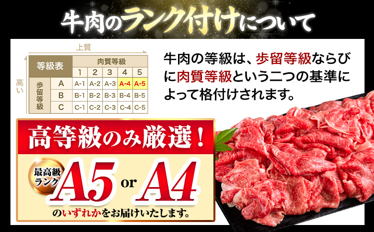 くまもと黒毛和牛 ウデ・モモスライス 1000g (500g×2) 牛肉 冷凍 《30日以内に出荷予定(土日祝除く)》 くまもと黒毛和牛 黒毛和牛 冷凍庫 個別 取分け 小分け 個包装 モモ スライス 肉 お肉 しゃぶしゃぶ肉 すきやき肉 すき焼き