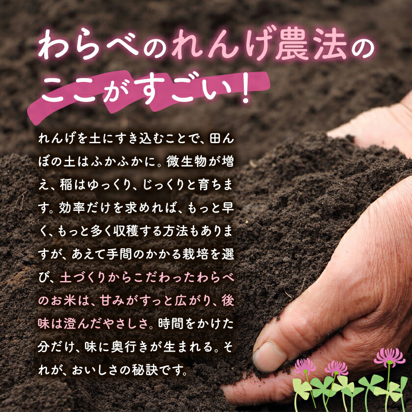 çæ¬çèæ± åžç£ã®ãããç±³ 5kg ã30æ¥ä»¥å
ã«åºè·äºå®(忥ç¥é€ã)ã ç²Ÿç±³æ¹æ³ 粟米 ãç±³ çœç±³ ã¬ã³ã²ç±³ çæ¬çç£ ä¹å·ç£ éæç¡æ