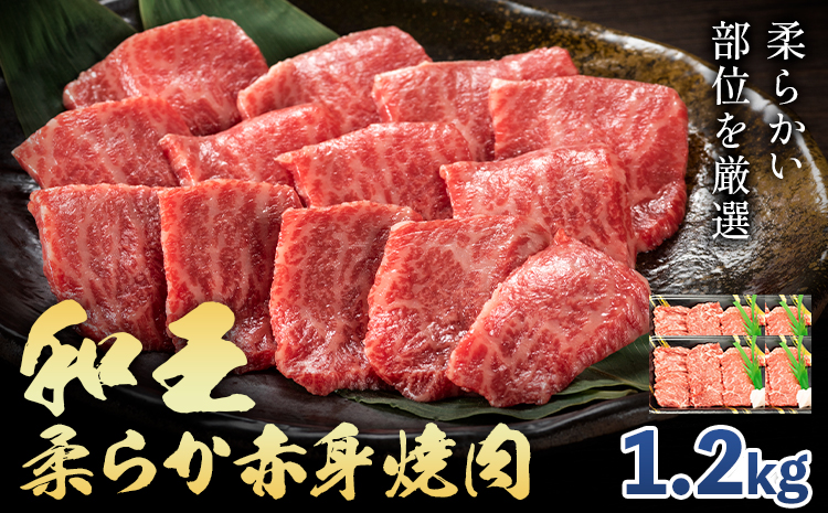 熊本県産A5等級和王 柔らか赤身焼肉 1.2kg 帝神志方ミート株式会社《90日以内に出荷予定(土日祝除く)》熊本県 菊池市 牛肉 肉 お肉 和牛 くまもと黒毛和牛 熊本県産 A5 和王 赤身 赤身肉 柔らか 厳選 焼肉