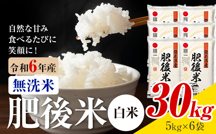 熊本県産 肥後米 無洗米 白米 30kg 1袋5kg 米 お米 令和6年産 九州産 熊本県産 ブレンド米 送料無料《30日以内に出荷予定（土日祝除く）》 無洗米 白米 米