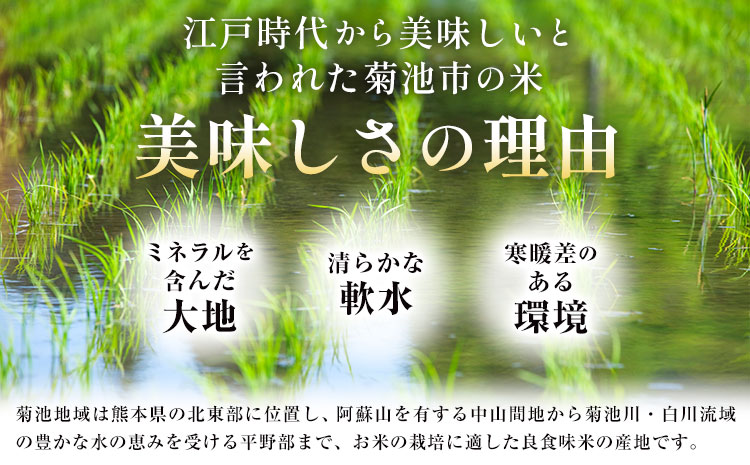 熊本県菊池産 玄米 10kg お米 ヴァリアス株式会社《30日以内に出荷予定(土日祝除く)》 菊池市産 熊本県産 九州産 送料無料
