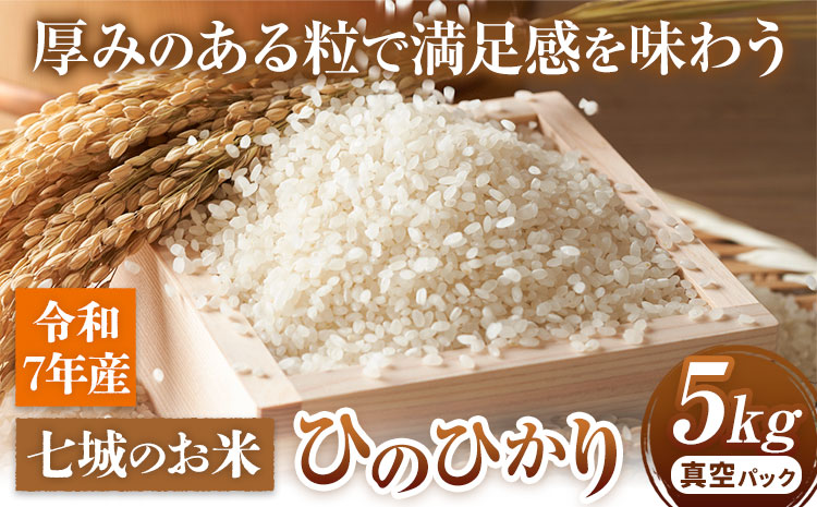 七城のお米 ヒノヒカリ 5kg 真空パッケージ 白米 精米 令和7年産 堀田農場《30日以内に出荷予定(土日祝除く)》お米 ひのひかり 熊本県 菊池市 熊本県産 九州産 送料無料
