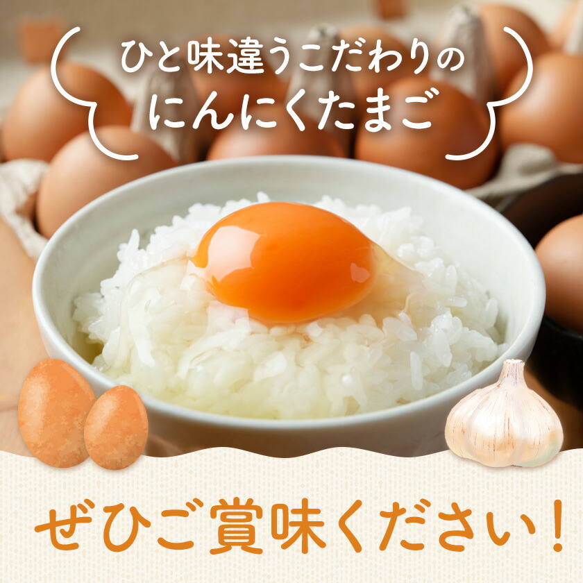 卵 にんにくたまご 内容量 30個 株式会社つづき《90日以内に出荷予定(土日祝除く)》熊本県 菊池市 卵 たまご にんにく卵 鶏卵 熊本県産 九州産 冷蔵 送料無料