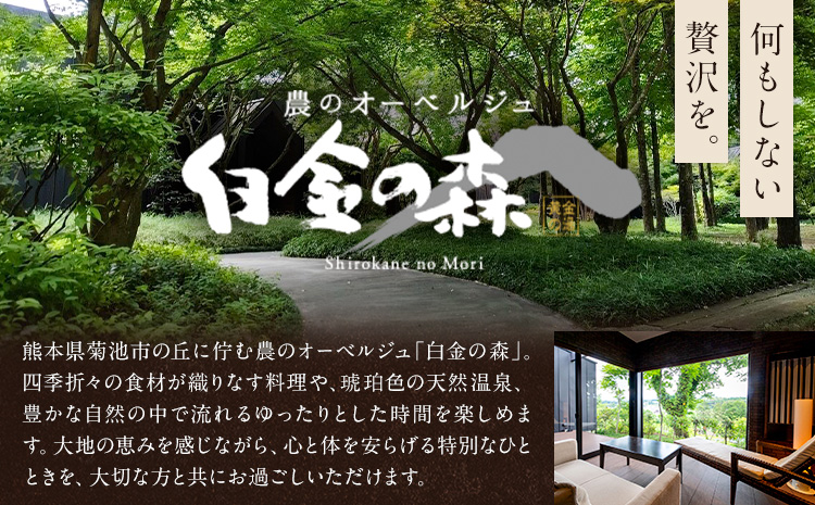 白金温泉 黄金の湯 入浴券 25枚 株式会社白金の森《30日以内に出荷予定(土日祝除く)》熊本県 菊池市 チケット 温泉 天然温泉 旅行 送料無料