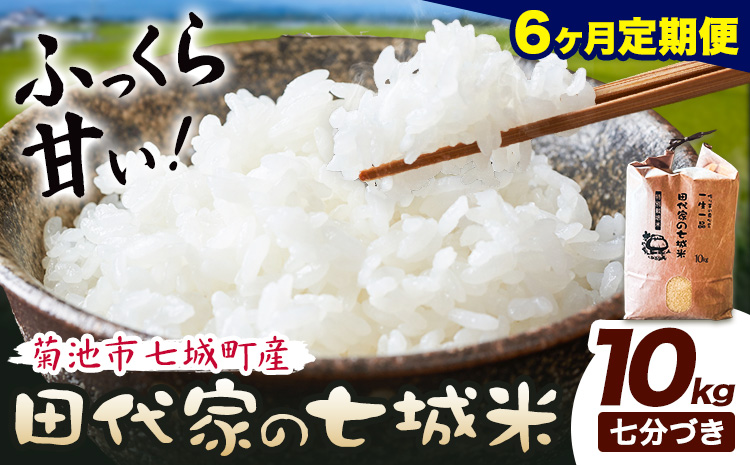【6ヶ月定期便】令和7年産 菊池市七城町産 田代家の七城米 七城ヒノヒカリ 七分づき 10kg 田代こめや《お申込み翌月から出荷》熊本県 菊池市 米 お米 精米 ひのひかり 菊池市産 熊本県産 九州産 送料無料