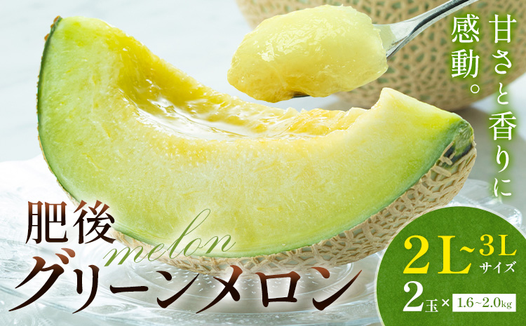 【先行予約】メロン 肥後グリーンメロン 大 2L ～ 3L サイズ 2玉 約1.6～2kg×2 MOTOYAMA358FARM 《2026年4月中旬-6月中旬頃出荷》 熊本県 菊池市 メロン 果物 フルーツ 九州産 国産 送料無料