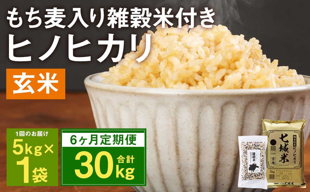 定期便6ヶ月】熊本県菊池産 ヒノヒカリ 玄米 計30kg(5kg×6回) もち麦