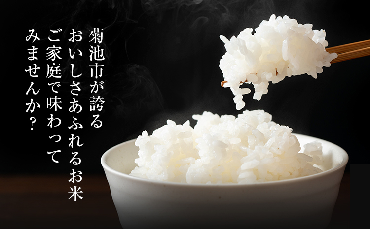 【3ヶ月定期便】令和7年産 熊本県産 菊池米 5分づき 10kg 1袋5kg 株式会社くまもとごはん 《お申込み翌月に出荷予定》米 お米 令和7年産 九州産 熊本県産  送料無料