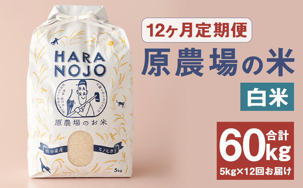 【12ヶ月定期便】原農場の米（白米） 5kg 計60kg お米 米 こめ コメ 白米 ヒノヒカリ ひのひかり ごはん ご飯 熊本県産 国産