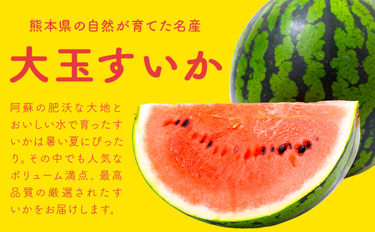 【先行予約】スイカ 大玉すいか 秀品 1玉 約 6kg ～ 9kg 株式会社Foody’s 食彩たかみ 《2026年5月下旬-7月下旬頃出荷》 熊本県 菊池市 フルーツ 果物 スイカ すいか 大玉 九州産 冷蔵 送料無料