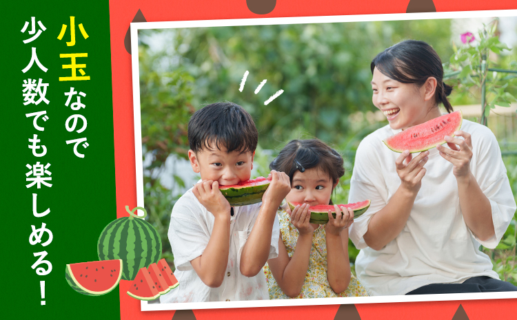 小玉スイカ 3玉【養生市場】 ひとりじめ 果物 フルーツ スイカ 西瓜 九州産 熊本県産 送料無料《2026年4月中旬-5月中旬頃出荷予定》【先行予約】