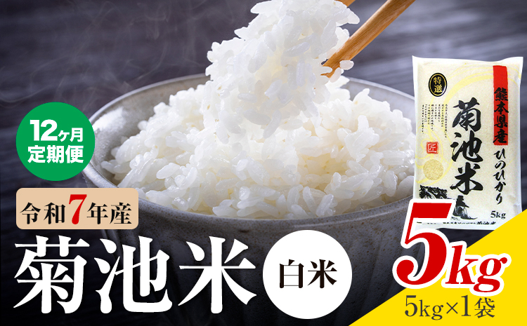 【12ヶ月定期便】熊本県産  白米 5kg 1菊池米袋5kg 米 お米 令和7年産 九州産 熊本県産 送料無料《お申込み翌月に出荷予定》 白米 米