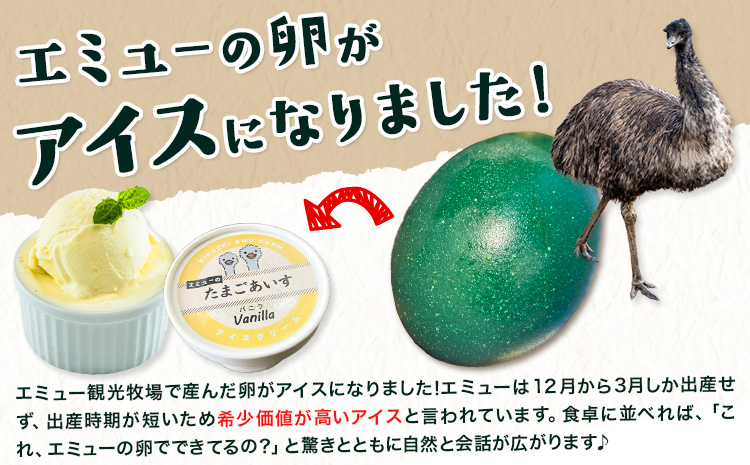 エミューのたまごアイス 6個入り エミュー観光牧場 《30日以内に出荷予定(土日祝除く)》 熊本県 菊池市 卵 たまご エミュー 食用卵 アイス デザート 国産 熊本県産 産地直送 送料無料