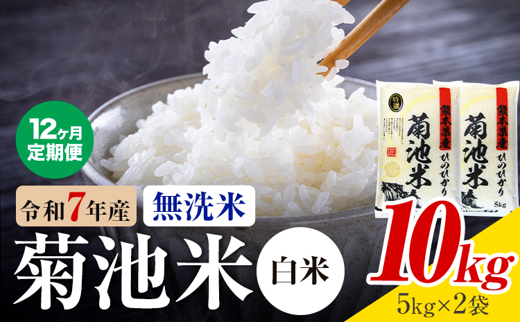 【12ヶ月定期便】熊本県産 菊池米 白米 無洗米 10kg 1袋5kg 米 お米 令和7年産 九州産 熊本県産 送料無料《お申込み翌月に出荷予定》 白米 米