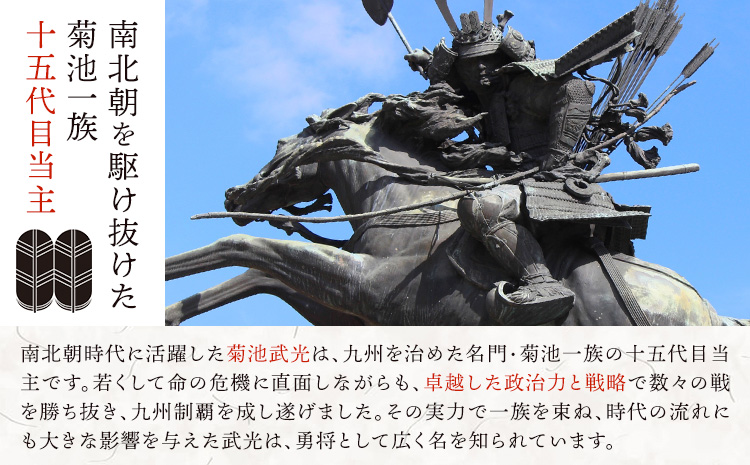 菊池武光公 Tシャツ・タオルセット 黒 Lサイズ 株式会社アイエヌ《90日以内に出荷予定(土日祝除く)》熊本県 菊池市 Tシャツ シャツ 半袖 ファッション タオル 菊池一族