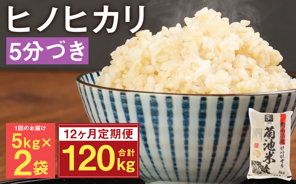 【12ヶ月定期便】熊本県菊池産 ヒノヒカリ 5kg×2袋×12回 計120kg 5分づき米 お米 米 分づき米