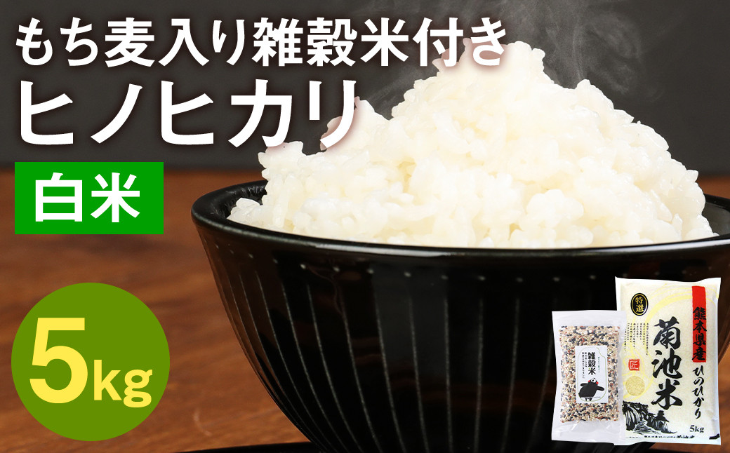 熊本県菊池産 ヒノヒカリ 精米 5kg もち麦入り雑穀米 200g 米 お米 低温保管 残留農薬ゼロ