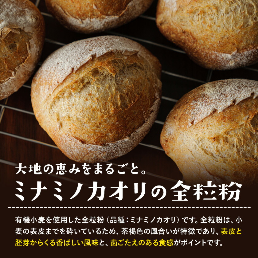 有機JAS小麦使用 全粒粉 合計3kg 1kg×3袋 《30日以内に出荷予定(土日祝除く)》熊本県 菊池市 小麦粉 ミナミノカオリ パンづくり 粉類 国産 九州産 熊本県産 送料無料