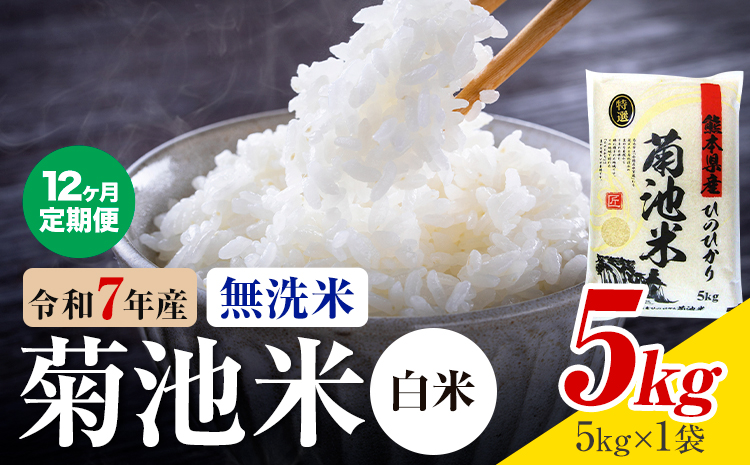【12ヶ月定期便】熊本県産 菊池米 白米 無洗米 5kg 1袋5kg 米 お米 令和7年産 九州産 熊本県産 送料無料《お申込み翌月に出荷予定》 白米 米