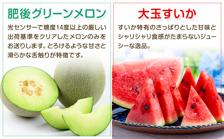 【定期便6回】特選 フルーツ 便 ( メロン すいか ぶどう 梨 いちご ) スイカ 葡萄 ブドウ ナシ なし 苺 イチゴ 果物 くだもの セット 詰合せ 定期便【メロンドーム】《お申込み翌月から出荷》