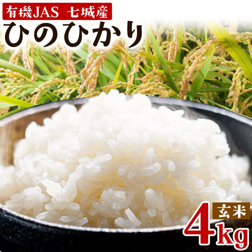 令和7年産 有機JAS 七城産ひのひかり 玄米 4kg 《30日以内に出荷予定(土日祝除く)》渡辺農産熊本県 菊池市 米 お米 精米 ひのひかり 菊池市産 熊本県産 九州産 送料無料