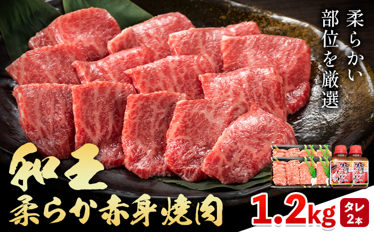 熊本県産A5等級和王 柔らか赤身焼肉 1.2kg タレ付き 2本 帝神志方ミート株式会社《90日以内に出荷予定(土日祝除く)》熊本県 菊池市 牛肉 肉 お肉 和牛 くまもと黒毛和牛 熊本県産 A5 和王 赤身 赤身肉 柔らか 厳選 焼肉 志方のたれ