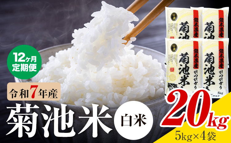 【12ヶ月定期便】熊本県産 菊池米 白米 20kg 1袋5kg 米 お米 令和7年産 九州産 熊本県産 送料無料《お申込み翌月に出荷予定》 白米 米