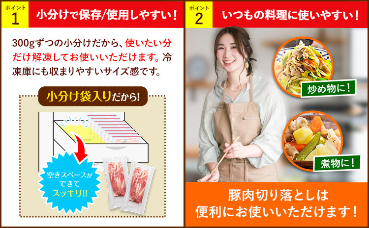 豚肉 切り落とし 900g 焼肉いしい 株式会社石井牧場《30日以内に出荷予定(土日祝除く)》 熊本県 菊池市 肉 豚肉 焼肉 切り落とし 生姜焼き 肉じゃが