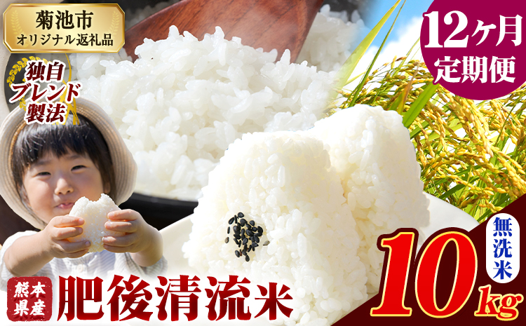 【12ヶ月定期便】熊本県産 肥後清流米 無洗米 10kg ブレンド米 熊本県産 ふるさと納税 精米 米 こめ ふるさとのうぜい コメ お米 おこめ《お申込み翌月から出荷》