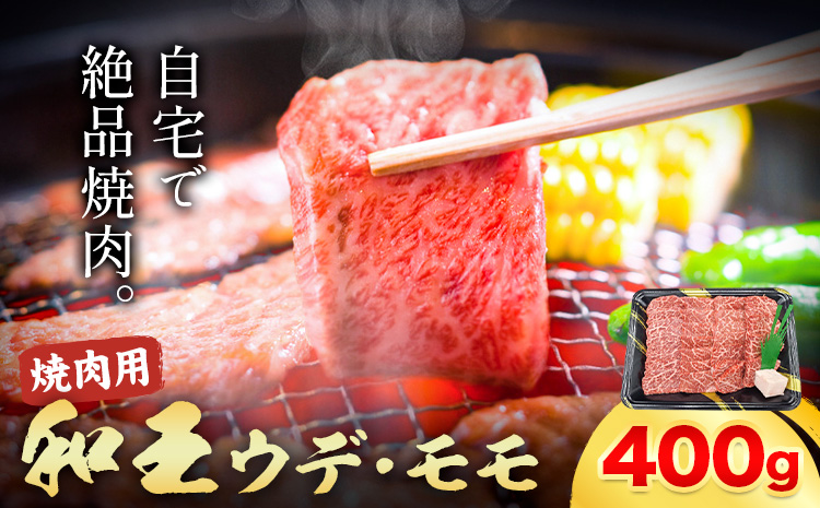 熊本県産A5等級和王 ウデ・モモ 焼肉用 約400g (約400g×1パック) 帝神志方ミート株式会社《90日以内に出荷予定(土日祝除く)》熊本県 菊池市 牛肉 肉 お肉 和牛 くまもと黒毛和牛 熊本県産 A5 和王 ウデ肉 モモ肉 焼肉