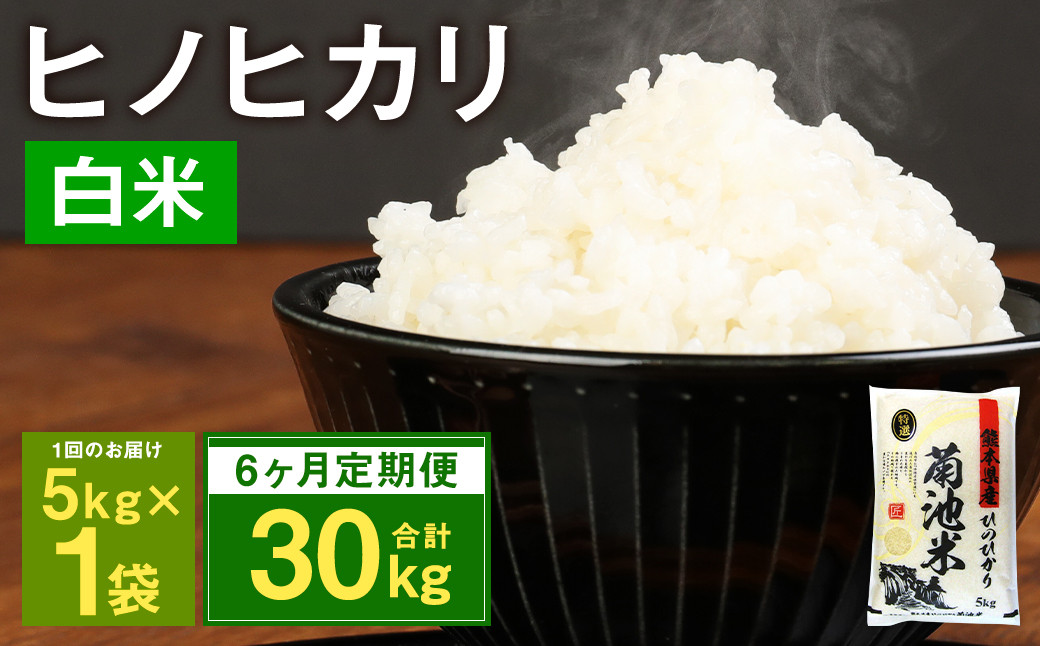 【6ヶ月定期便】熊本県菊池産 ヒノヒカリ 5kg×6回 計30kg 精米 お米 米 白米